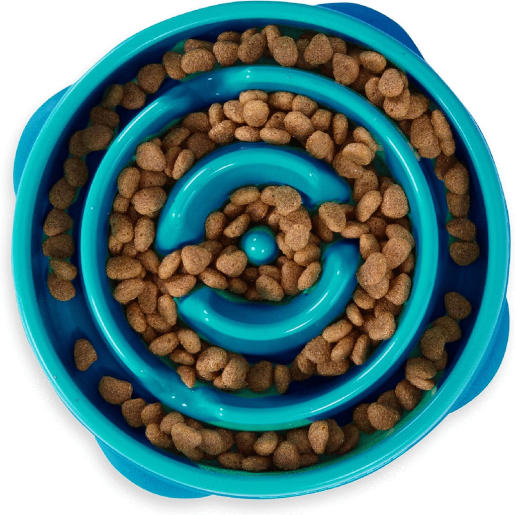 Outward Hound Fun Feeder Slow Bowl